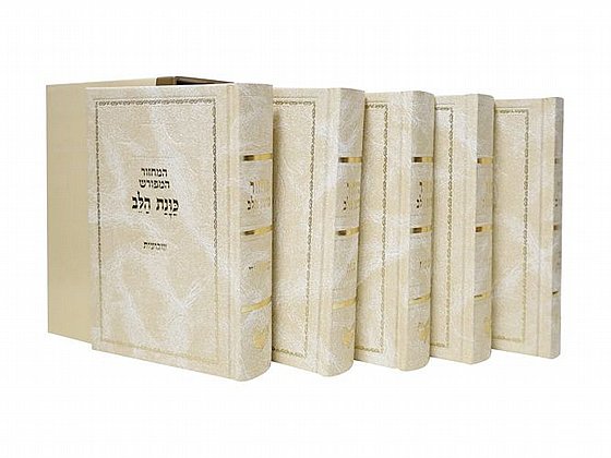 ������� ���� ��� �"� ���� �����