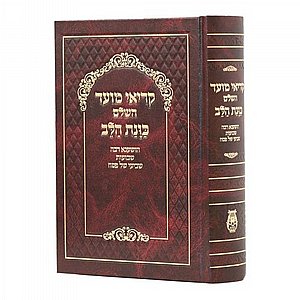 ����� ���� ���� ���� ��� 