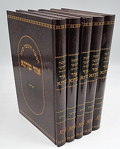 ���� ����� ���� ��� ���� 