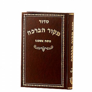 ����� ���� ����� ���� 