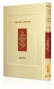 ����� ���� ����� ����� ���� ����