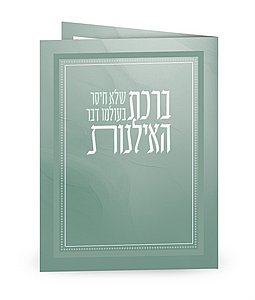 ��� ���� ������� 