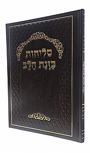 ������ ���� ��� ��� 24.5 �"� 